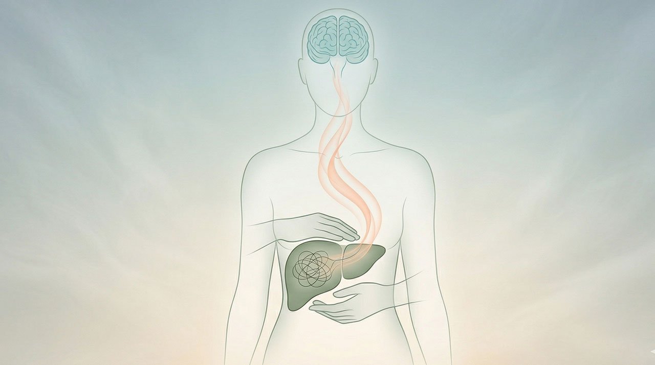 O fígado não é apenas um filtro! É o centro de comando emocional do seu corpo.